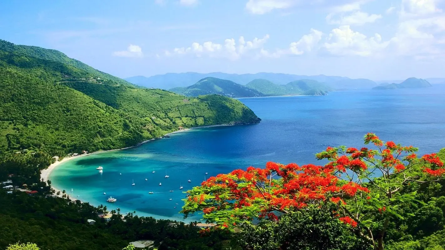 高端高性能